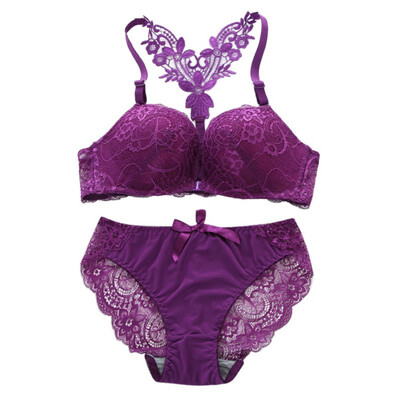 

Sexy Lace Bra Lingerie Set Women Embroidery Transparent Bra Underwear Women Front Closure Adjustable Push Up Bra&Panty Set