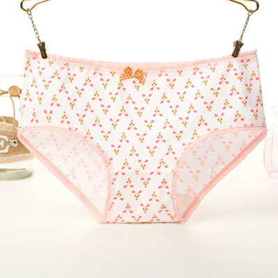 

Women Mid Rise Seamless Cotton Underwear Briefs Cartoon Print Cute Lingerie Ladies Underpants