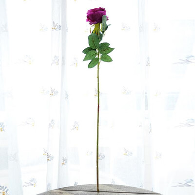 

Factory wholesale single flannel acacia rose 7 color artificial flower home decoration decoration wedding supplies fake flowers Ro