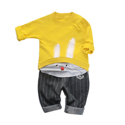 

Autumn Set Children Baby Boys Girls Casual Long Sleeve Cartoon Rabbit Pattern Shirt TopsPants Trouser Set