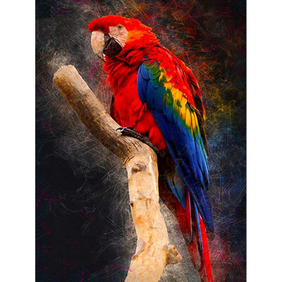 

DIY Diamond Mosaic Square&Round New Arrival Bird Diamond Painting Full Layout Animal Home Decoration Diamond Art