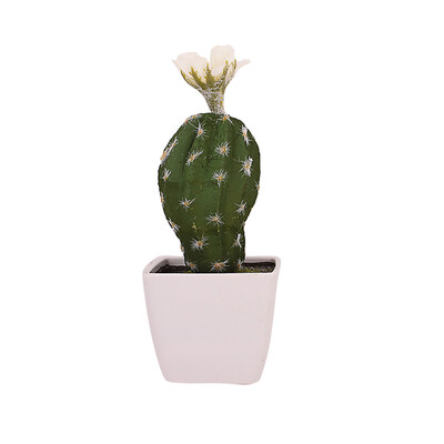 

Toponeto Simulated Potted Cactus Artificial Green Plant Potted Flower Art Home Decor