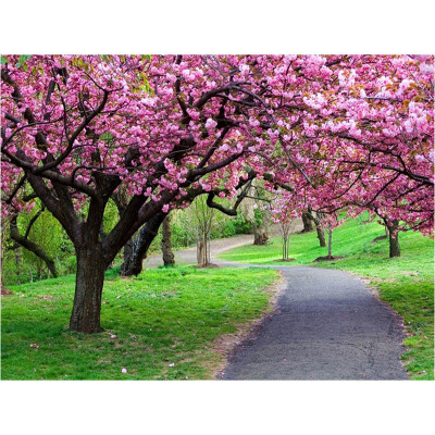

Romantic Flower Grove Forest Scenery 5D DIY Diamond Painting Craft Cross Stitch Kit for Home Bedroom Wall Decor