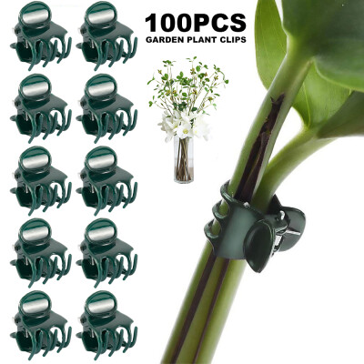 

100PCS Dark Green Plant Support Clips Garden Ulable Orchid Stem Clips Flower Spike Clips