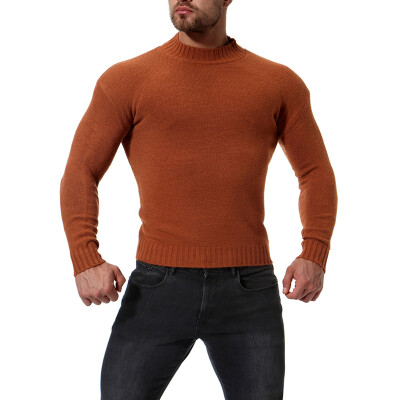 

Mens Autumn Solid Color Slim Fit Sweater Tops High Collar Long Sleeve Knitted