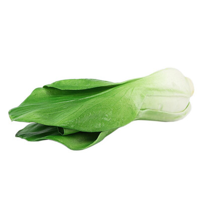 

Simulation Vegetable Model Decoration For Home Hotel Restaurant Decor Artificial Decorations Fake Food