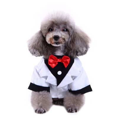 

Dog Clothes For Dogs Wedding Dress Puppy Pet Clothes Dog Overalls For Dogs Supplies Ropa Perro French Bulldog Pug Roupa Cachorro