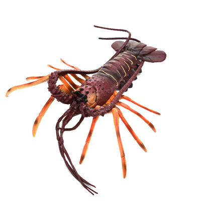 

Tailored Simulation Model Of LobsterKids Early Education Play ToyKitchen Decoration