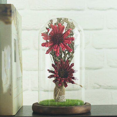 

〖Follure〗Romantic Immortal Micro landscape Simulation Eternal Flower LED Lights