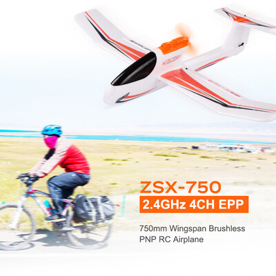 

ZSX-750 24GHz 4CH EPP 750mm Wingspan PNP Brushless RC Airplane Aircraft