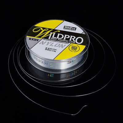 

100M Nylon Fishing Line Strength Freshwater Saltwater Wire Fishing Leader Line Monofilament Anti-bite Line Fishing Accessories