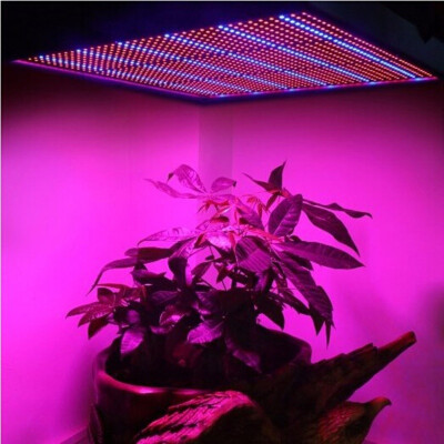 

1365 led lamp plant growth lamp&lamp to promote plant growth hot selling hot style as the fill light