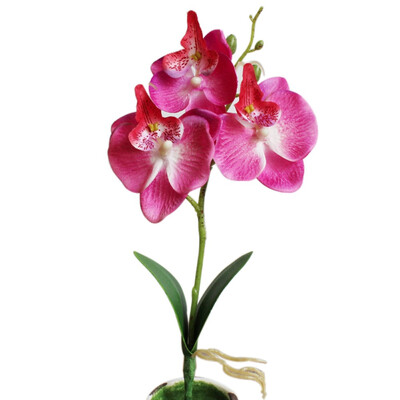 

1PC Mini Phalaenopsis Silk Flowers Artificial Decorative Flower Creative DIY Accessories wedding decoration