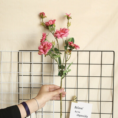 

Cloth Simulation Rose Flower Artificial Peach Blossom Artificial Chinese Rose Fake Flower For Wedding Decoration Simulation
