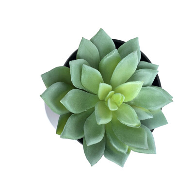 

Simulations Mini Succulents Fake Plastic Artificial Plants Home Garden Living Room Decorations