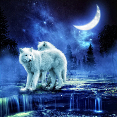 

5D DIY Full square Diamond Painting Mosaic night sky Polar bear Diamond Rhinestone Embroidery Cross Stitch home decor