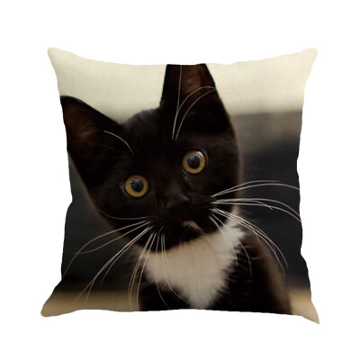 

〖Follure〗Cat Square Pillowcase Home Decoration Car Sofa Bedroom Cushion Cover