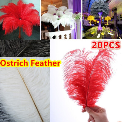 

51820pcs Fluffy Soft Ostrich Feathers for Wedding Party Craft Decorations 12-14 inch30-35cm