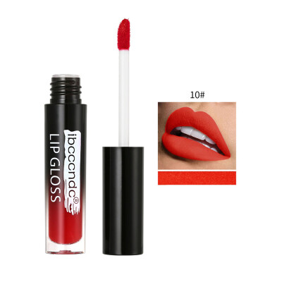 

12-Color Matte Lip Gloss Moisturizing Waterproof Long-Lasting Lip Glaze Liquid Lipstick