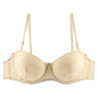 

Push Up Women Bras Sexy Lace Embroidery Underwire Bralette Nursing Bottoming Comfort Underwear