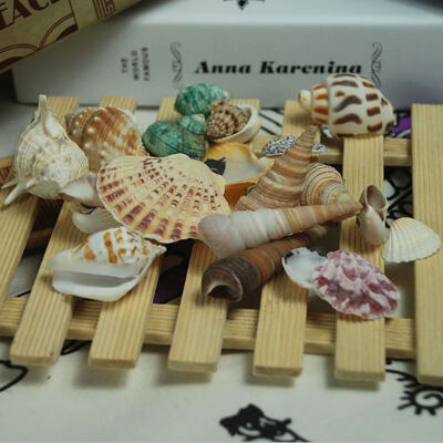 

2018 Aquarium decoration style Mediterranean Shell Conch new aquarium parts 100g120g Sea Shells Christmaswall hanging Decor