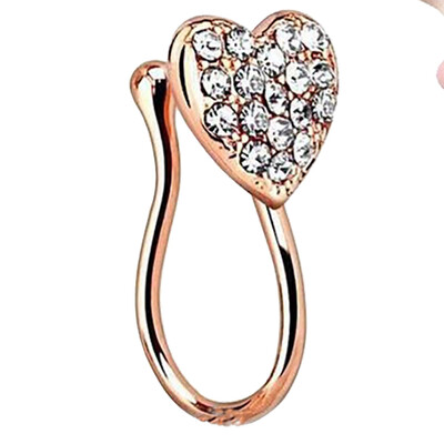 

Stainless Steel Body Piercing Nose Nose Nose Ring Diamond Body Piercing