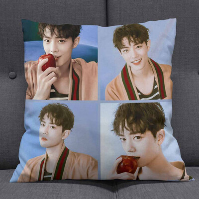 

Anime Mo Dao Zu Shi Pillow Lan Wangji Wei Wuxian Of Demonic Pillow Cultivation