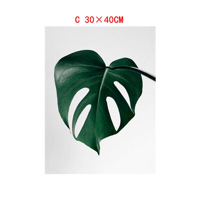 

Gobestart Leaf Plant Leaf Tortoise Decorative Canvas Painting Childrens Room Hanging Painting Spray Painting