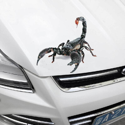 

New stereo car spider gecko animal car stickers simulation car tail stickers realistic modification stickers A21 red spider pair