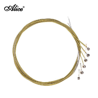 

Alice AW430-L Light Acoustic Guitar Strings Set Steel Strings for 36inch - 42inch Acoustic Guitars Pack of 6PCS