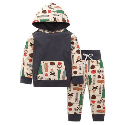 

Spring Autumn Baby Hooded Casual Sweater Sets Boys Girls Cute Cartoon Clothes Kids Long Sleeve Sweater Tops Pants Outfits 1