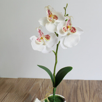 

2Pcs Home Mini Moth Orchids Triple Head Phalaenopsis Artificial Butterfly Orchid Silk Flower Home Wedding Decoration