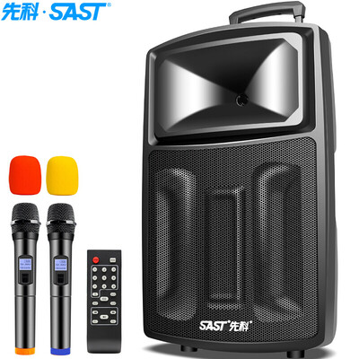 

SAST ST-1701W 12-дюймовый портативный открытый наружный стержень Active Power High Power Battery Card Dual Microphone Square Dance Speaker (черный)
