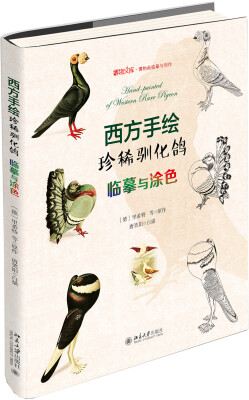 

西方手绘珍稀驯化鸽临摹与涂色