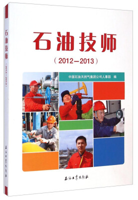 

石油技师（2012-2013）
