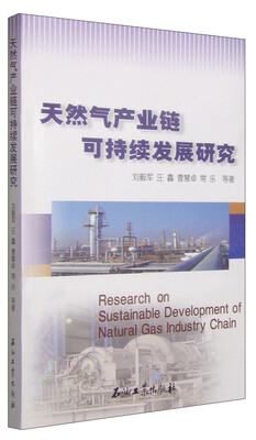 

天然气产业链可持续发展研究