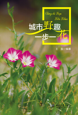 

城市野趣一步一花