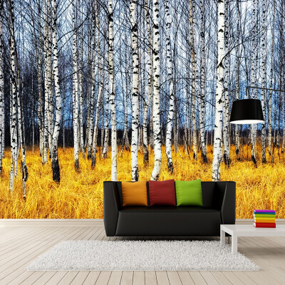 

Custom 3D Photo Wallpaper Autumn White Birch Forest Living Room Bedroom 3D Large Wall Mural Wallpaper Modern Painting Home Decor