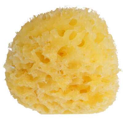 

OKBABY baby bath puff The Mediterranean natural sponge Italy imported