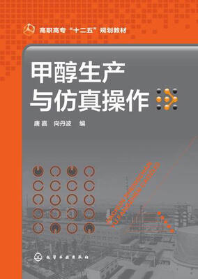 

甲醇生产与仿真操作/高职高专“十二五”规划教材