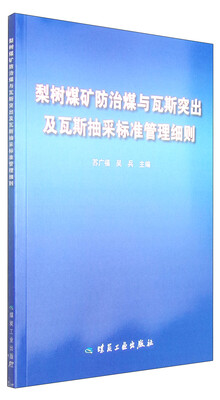 

梨树煤矿防治煤与瓦斯突出及瓦斯抽采标准管理细则