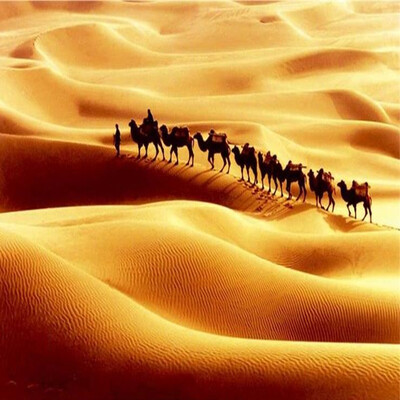 

Custom 3D Photo Mural Wallpaper Walking On the Desert Camel Wall Paper High Quality Home Decor For Living Room TV Sofa Backdrop