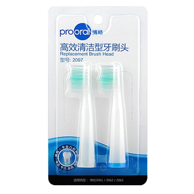 

2090 Prooral 2097 high-efficiency cleaning toothbrush head for 20612062