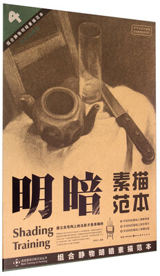 

组合静物明暗素描范本