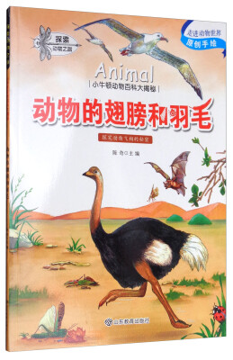 

小牛顿动物百科大揭密动物的翅膀和羽毛