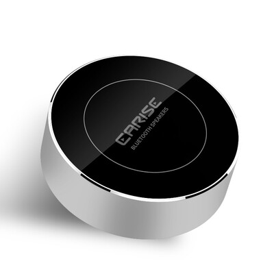 

EARISE F25 Wireless Bluetooth Subwoofer Настольный портативный металлический аудио мобильный телефон Музыкальный автомагнитола Компьютерный динамик Silver