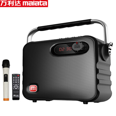 

Malata Y6 Outdoor Portable Portable Speaker with Bluetooth Store Promotion Square Dance Acoustic 65 inch black