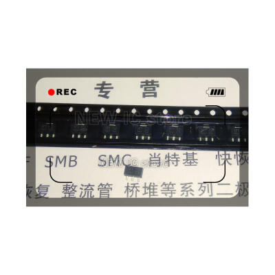 

Free Shipping 100PCS/LOT BL8530 BL8530-501SM E5 5V SOT89