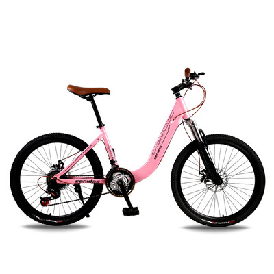 

Aluminum Alloy 24 inch bicycle lady students 21 speed 24 speed 27 speed mountain bike bicycle adult double brake damping