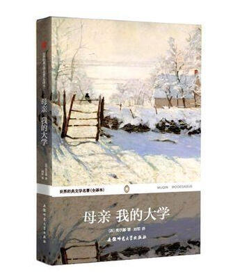 

世界经典文学名著：母亲我的大学（全译本）